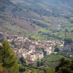 The village of Porrera, seen from above