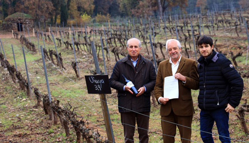Photo via winery press release
