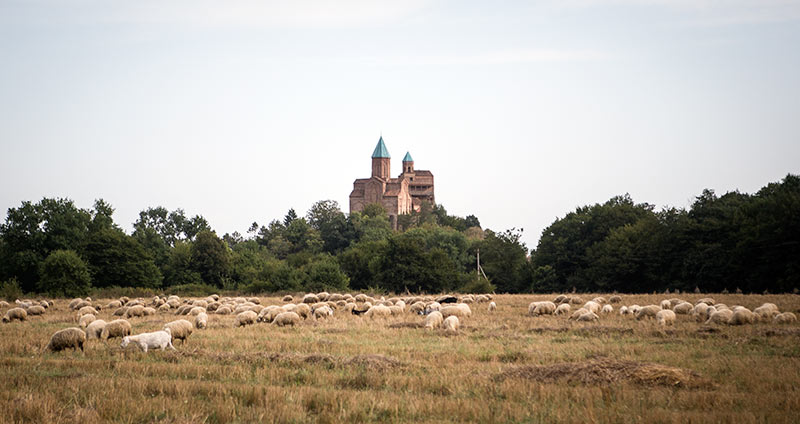 View made possible by the GRA