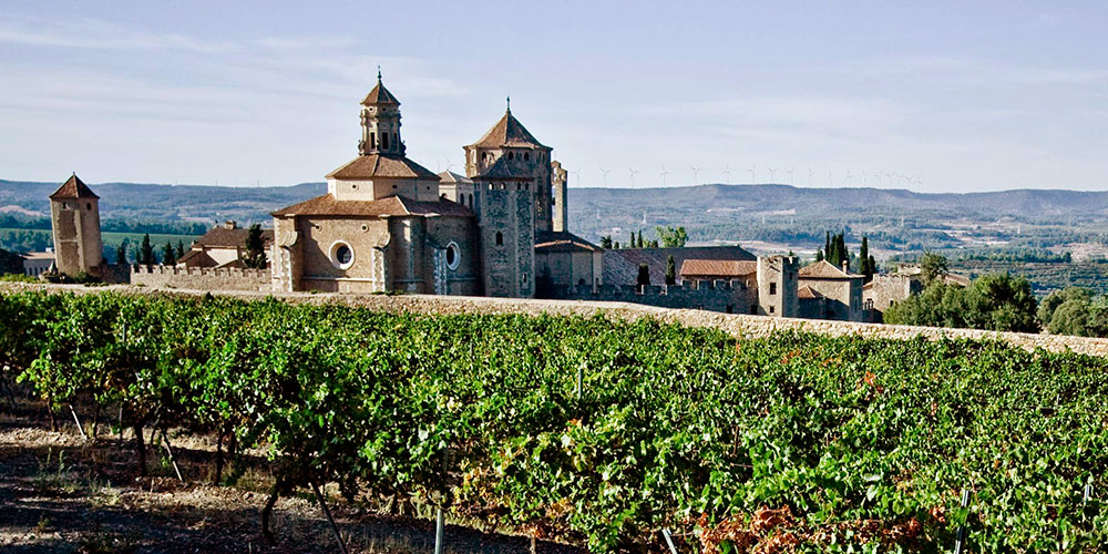 Photo from DO Conca de Barberà