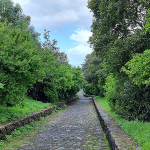 Road leading to "Los Laureles"