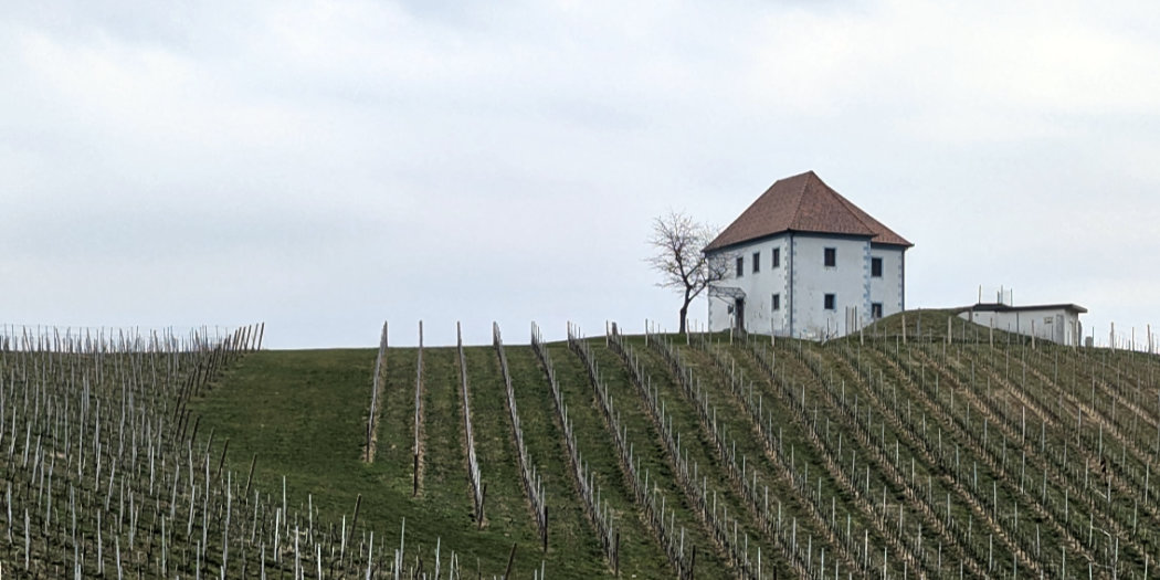 The golden hills of Zlati Gri