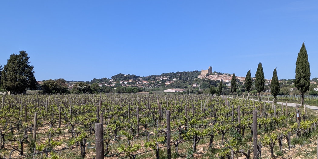 The wines of Châteauneuf-du-Pape & Gigondas 2026