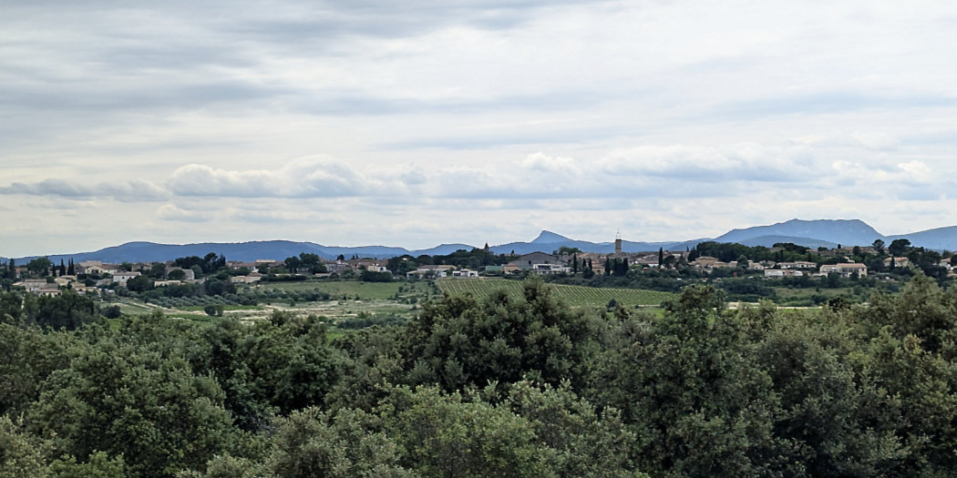 The wines of Languedoc 2026