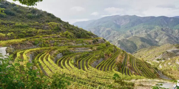 Image via Shutterstock
