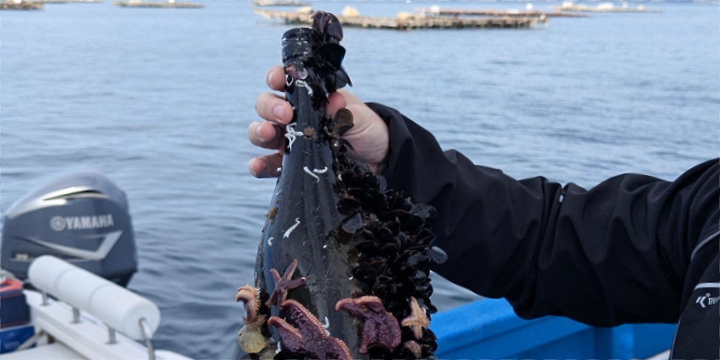 A deeper look at underwater wine aging